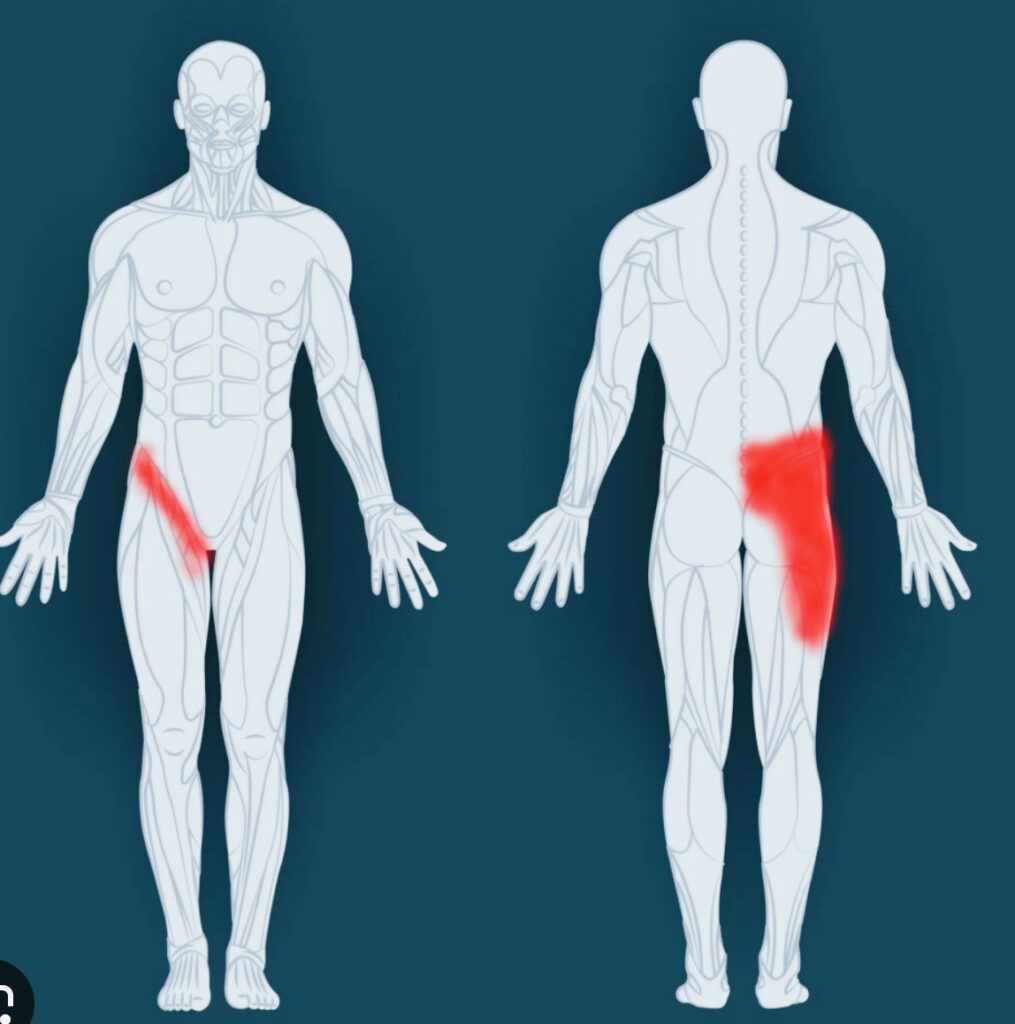 Groin Strain Recovery: How to Heal a Pulled Groin Muscle