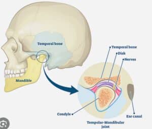 The temporomandibular joint (TMJ), situated on either side and in front of the ears, functions by allowing you to open your mouth.
